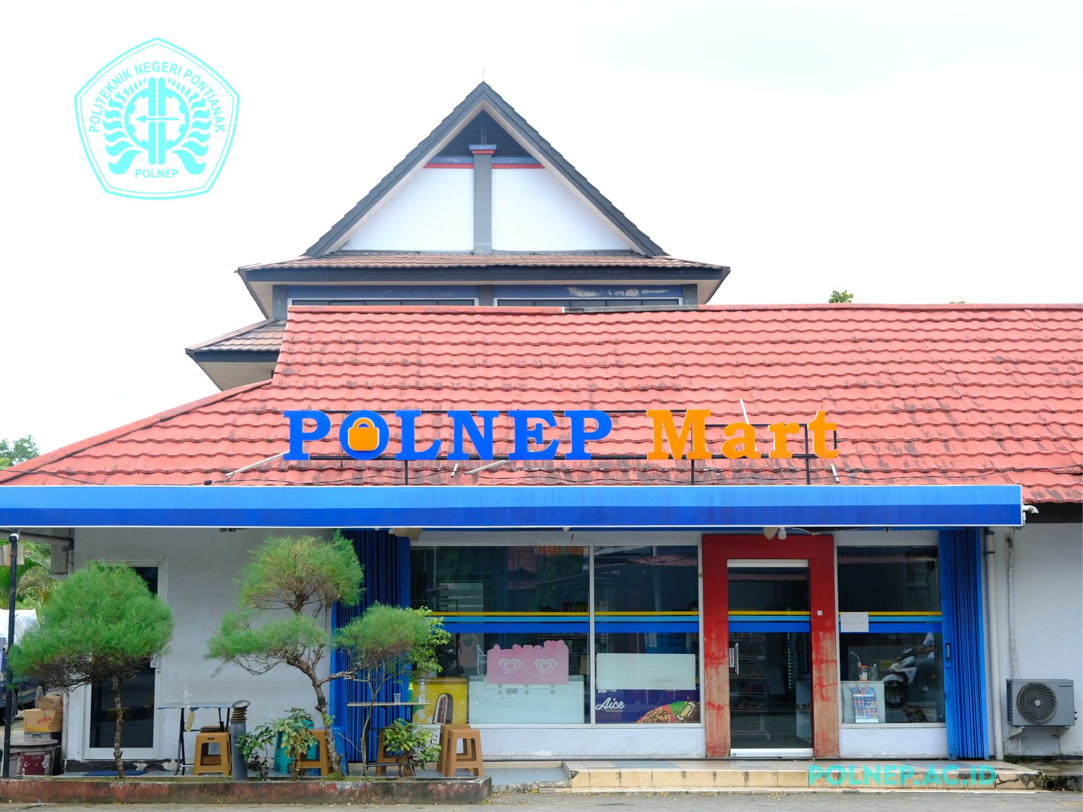 POLNEP MART