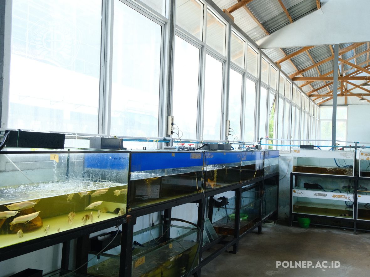 Workshop Budidaya Perikanan