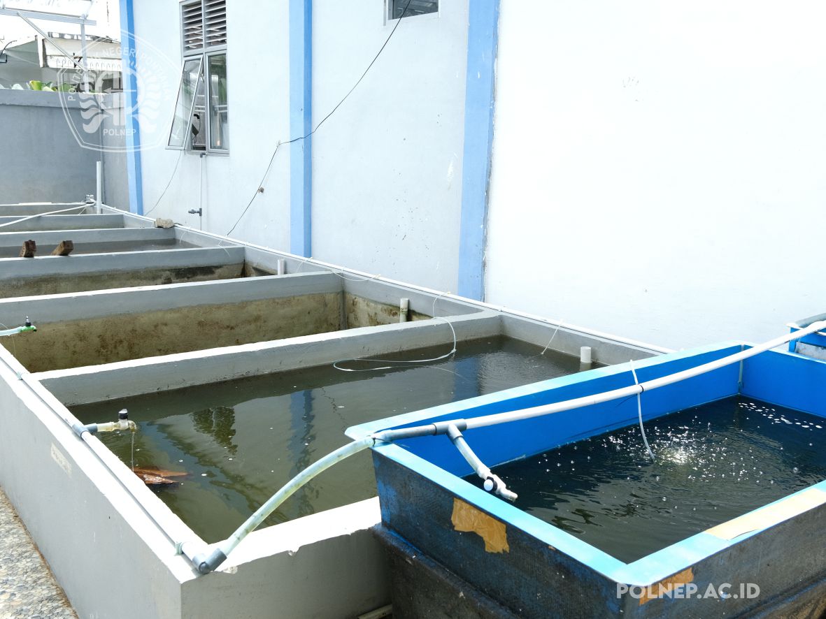 Workshop Budidaya Perikanan 2